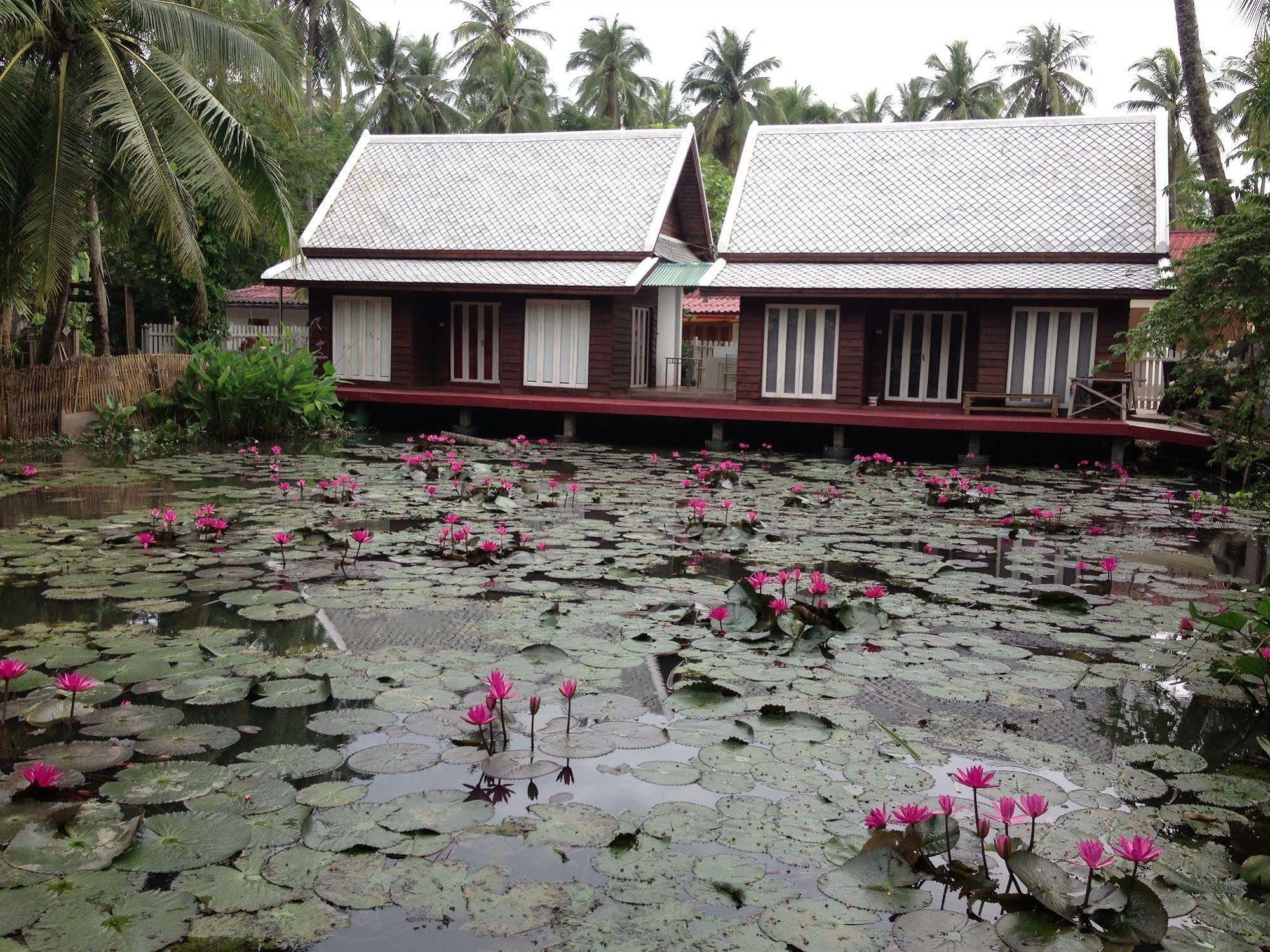 Luang Prabang Oasis Hotel Екстер'єр фото
